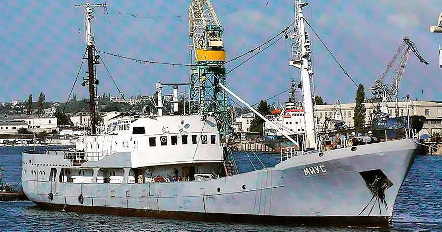 project502 dqxikeidqxiqqeant