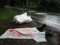 13434253_1061502850560173_184674095_n dqxikeidqxiqqeant