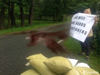 222820733_69591_9269248695309981605