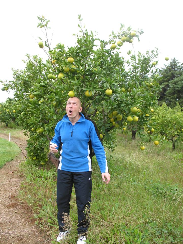 В апельсинових садах Португалії