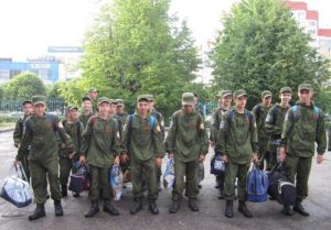 , begemot, begemotmedia, , ,  . , , ,  dqxikeidqxiqqeant