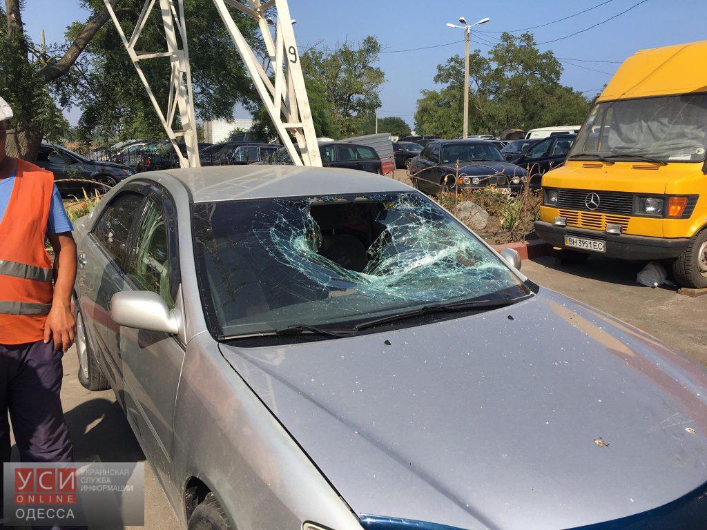 13661778_1775072939435714_6170977968790541485_o dqxikeidqxiqqeant