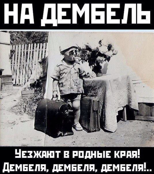 021 dqxikeidqxiqqeant