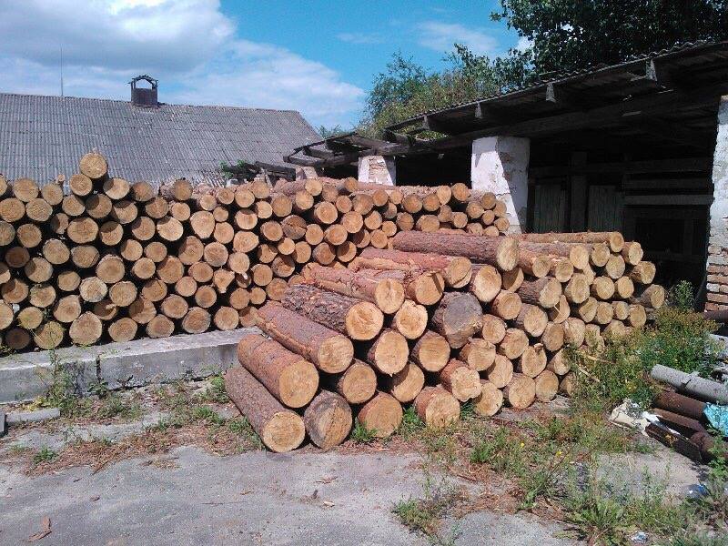 13900142_1641554022840120_8477807524282012770_n dqxikeidqxiqqeant