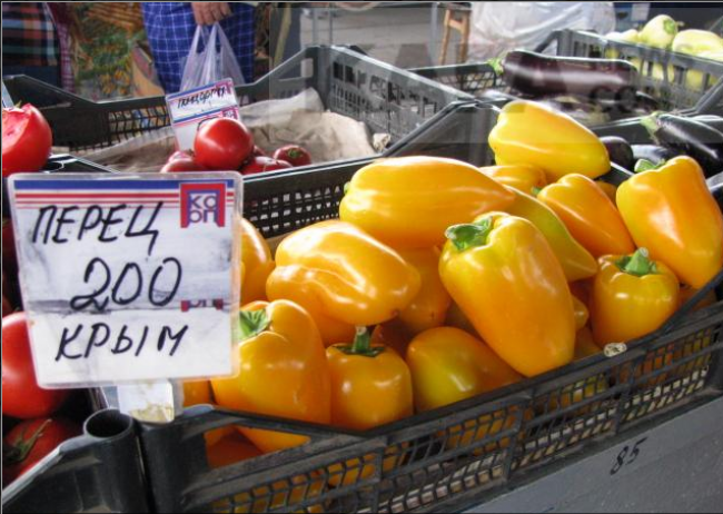  ,  ,  ,   , , ,Begemot