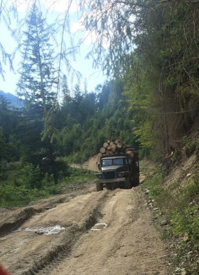 2_2.jpg dqxikeidqxiqqeant