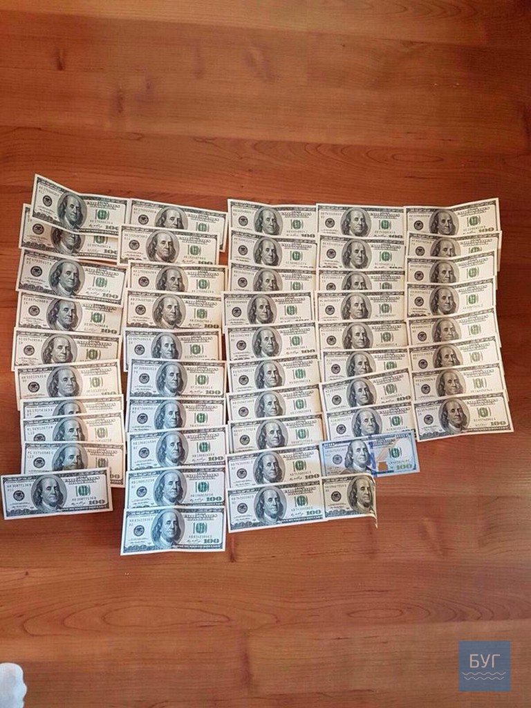 14224880_547256375482310_7640977341632728376_n dqxikeidqxitkant