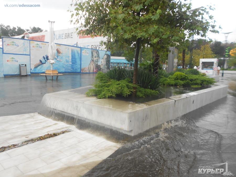 SDZfW5BXltM dqxikeidqxiqqeant