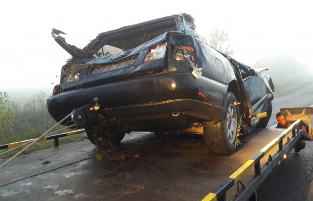 Вночі під Мукачевом 3 молодиків перекинулися на Audi, один загинув (ФОТО)