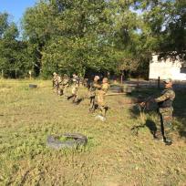 14492468_1168309516567860_4687174441581045835_n