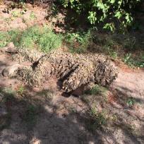 14445928_1168309626567849_6835622415755506817_n