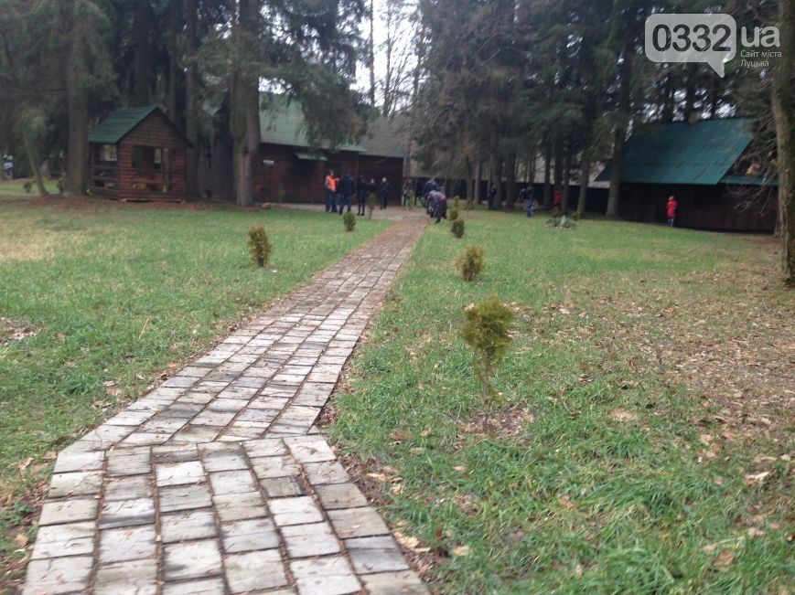 лес6.jpg лес6.jpg