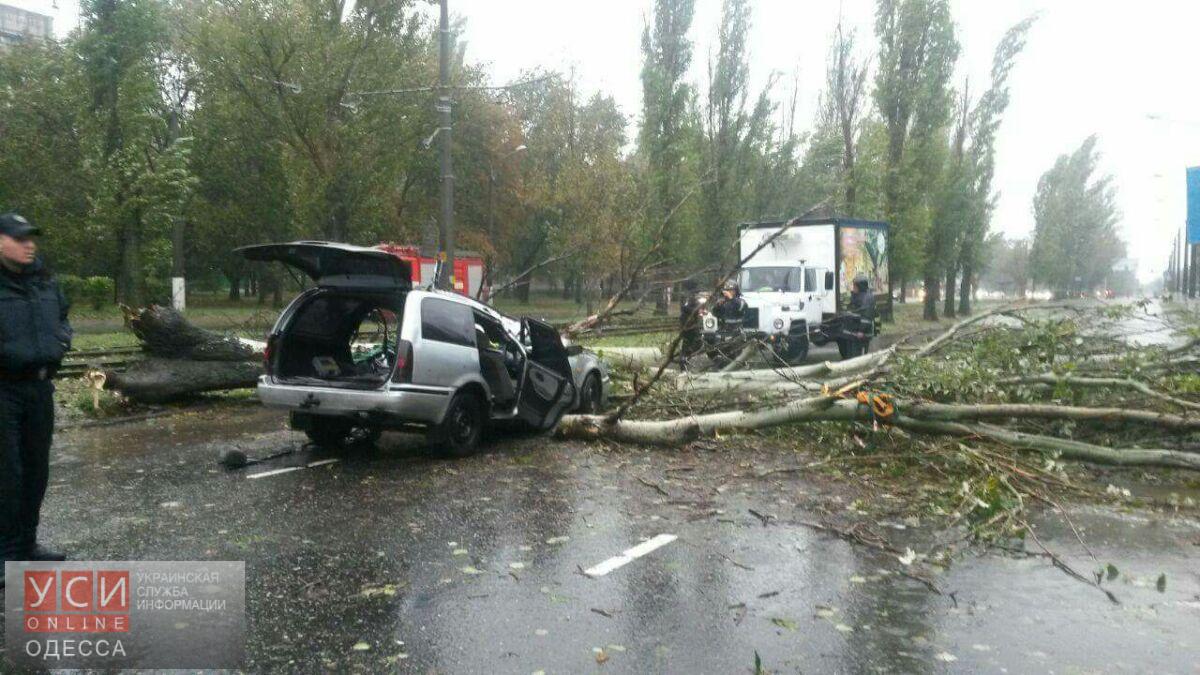 2b4d9432d0bc614cf86285fbaaf9cf84deff3625b23bc18747-pimgpsh_fullsize_distr dqxikeidqxitkant