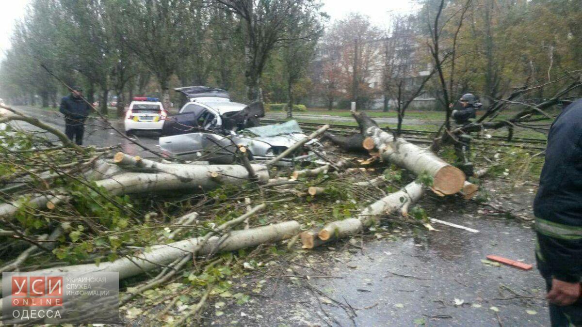 2d0ae2f710e4a8a88aacf7d29c6cd46b4a1112ac311cd81a47-pimgpsh_fullsize_distr