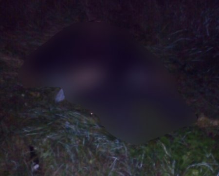 Смертельна ДТП на Ужгородщині: збитий велосипедист загинув на місці (ФОТО) Смертельна ДТП на Ужгородщині: збитий велосипедист загинув на місці (ФОТО) dqxikeidqxiqqeant