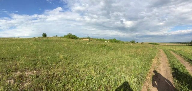 10643171_827842330599548_243571801_n