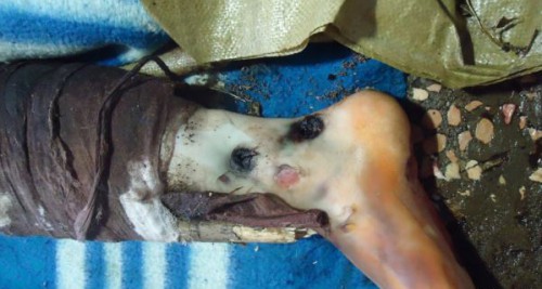 katuvanya-rus1 dqxikeidqxitkant