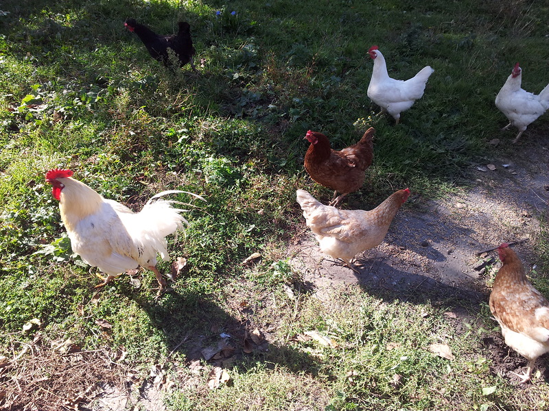 20140916_110117.jpg 20140916_110117.jpg