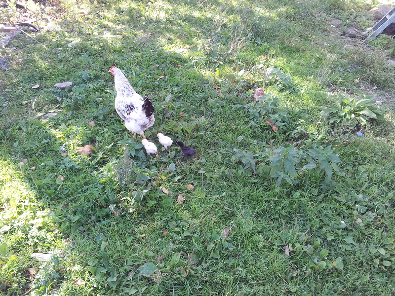 20140916_105843.jpg 20140916_105843.jpg