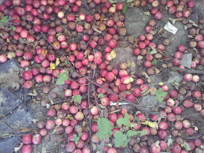 20140916_105945.jpg 20140916_105945.jpg