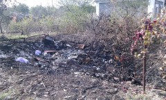 14721475_1325423120801824_6114256438767621432_n