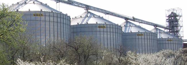       «» «» dqxikeidqxiqqeant