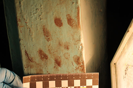 Убивство, Вінниця, бабця dqxikeidqxitkant