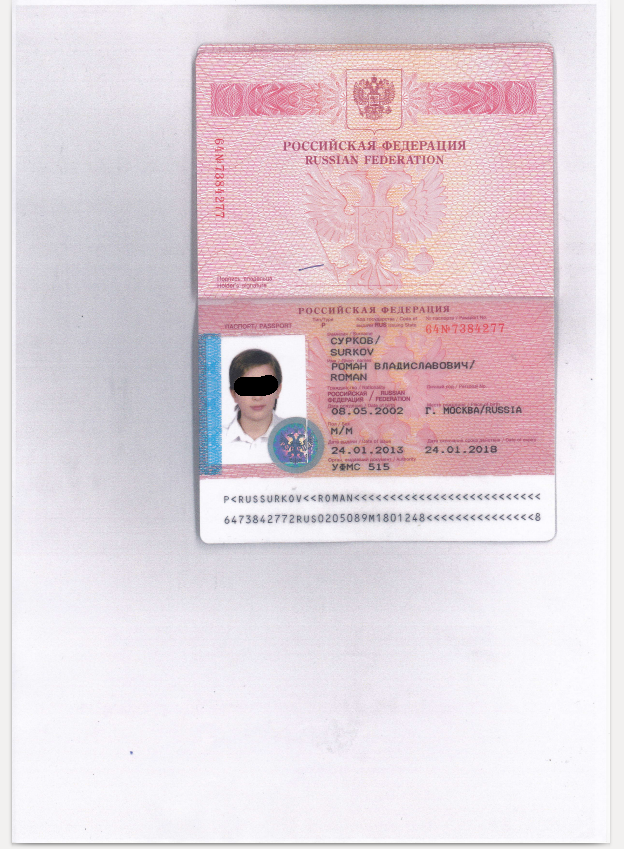 Семья Суркова