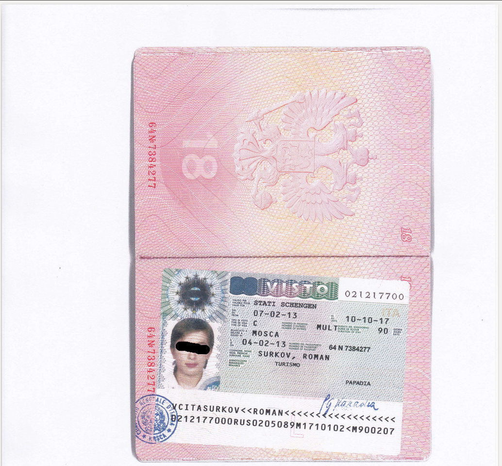 Семья Суркова