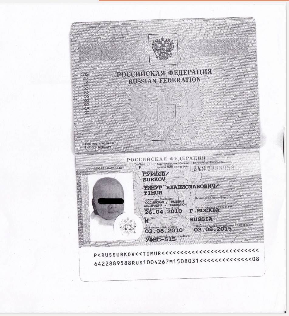 Семья Суркова