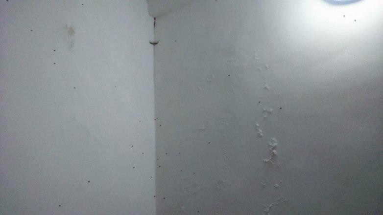 14958656_1321973507923616_883862435_n