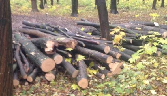 %d0%b1%d0%b5%d0%b7-%d1%96%d0%bc%d0%b5%d0%bd%d1%96