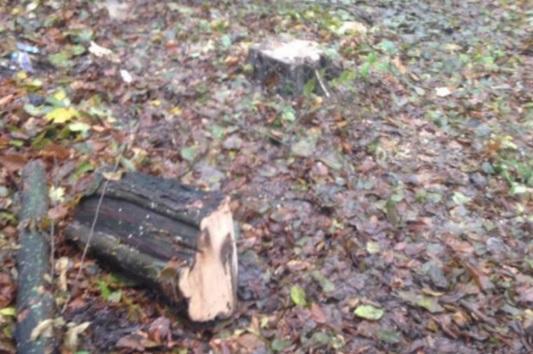 %d0%b1%d0%b5%d0%b7-%d1%96%d0%bc%d0%b5%d0%bd%d1%96