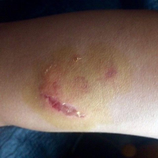 1479647304 dqxikeidqxiqqeant