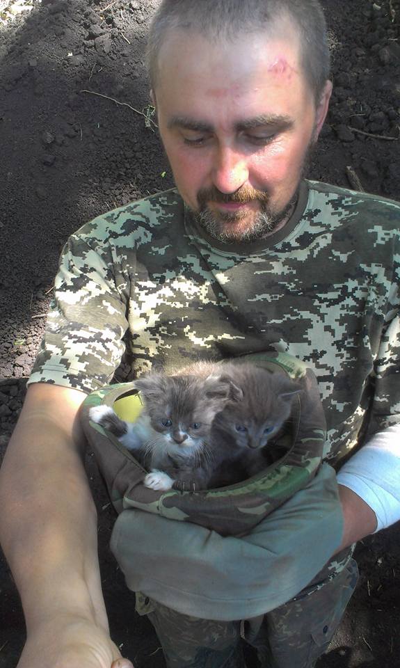 За що котам в АТО треба поставити пам’ятник-12 - фото 10 За що котам в АТО треба поставити пам’ятник-12 - фото 10
