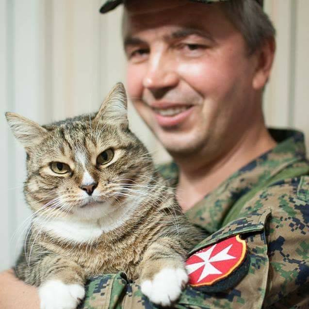 За що котам в АТО треба поставити пам’ятник-12 - фото 5 За що котам в АТО треба поставити пам’ятник-12 - фото 5