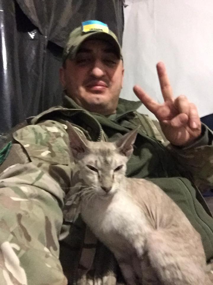 За що котам в АТО треба поставити пам’ятник-12 - фото 8 За що котам в АТО треба поставити пам’ятник-12 - фото 8