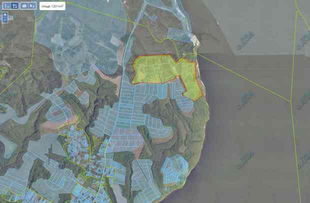 26 га лісу, які належать Валерієві Хорошковському dqxikeidqxitkant