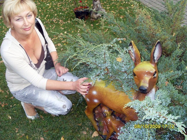 е dqxikeidqxiqqeant