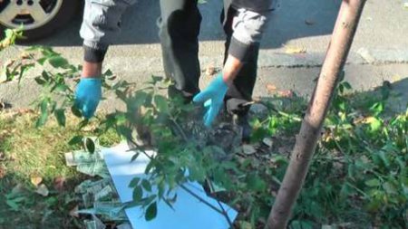       - .  dqxikeidqxitkant