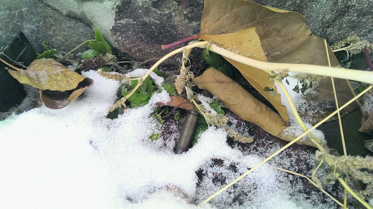 Фото: Ярослав Маркин/ Фото: Ярослав Маркин/ dqxikeidqxiqqeant