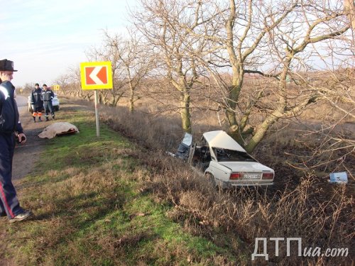 1327075095_nest7 dqxikeidqxidant