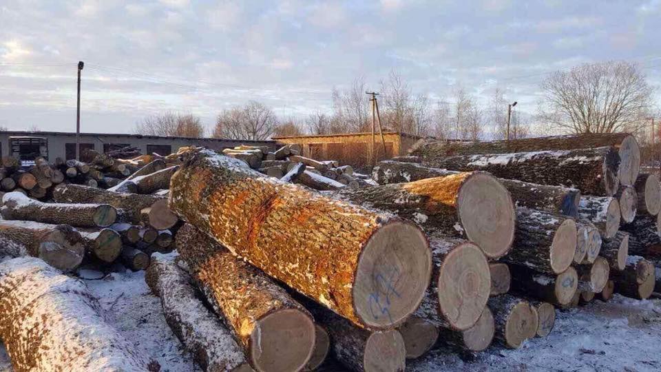 В Житомирской области на складе незаконно хранили краденную древесину на 1,5 млн - 26763 В Житомирской области на складе незаконно хранили краденную древесину на 1,5 млн - фото 26763
