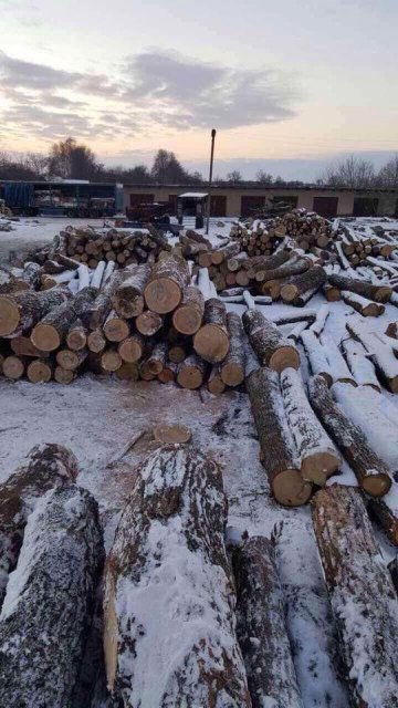 В Житомирской области на складе незаконно хранили краденную древесину на 1,5 млн - 26762 В Житомирской области на складе незаконно хранили краденную древесину на 1,5 млн - фото 26762