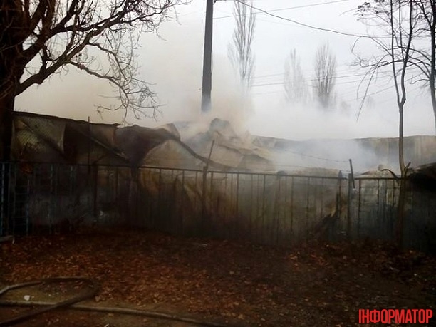 15749716_1364881886885089_709346774_n dqxikeidqxitkant