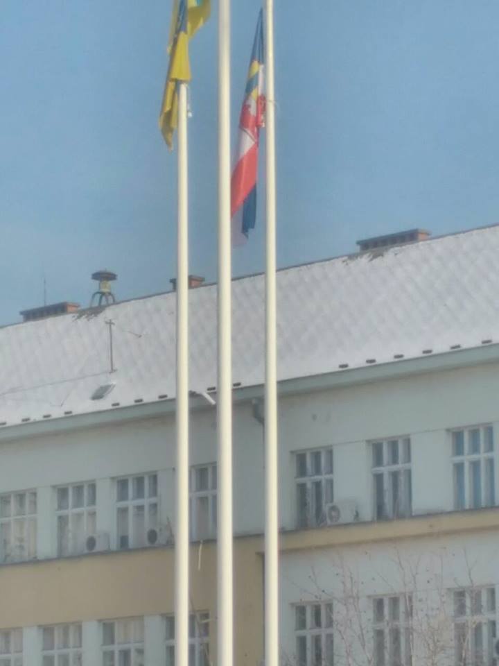 15726563_692990334212815_2078481366782270550_n dqxikeidqxiqqeant