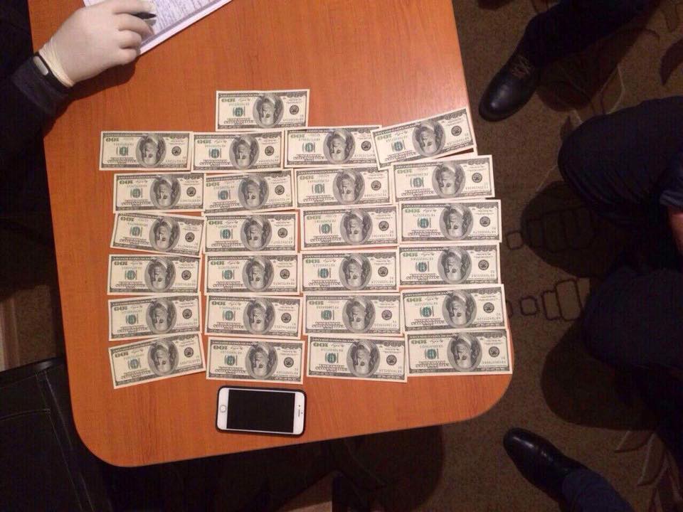 16196012_1338893276184193_1625502036096320661_n