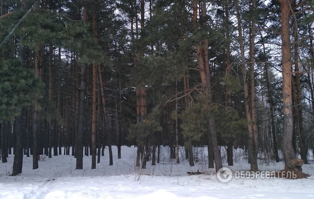 купить дом старые петровцы