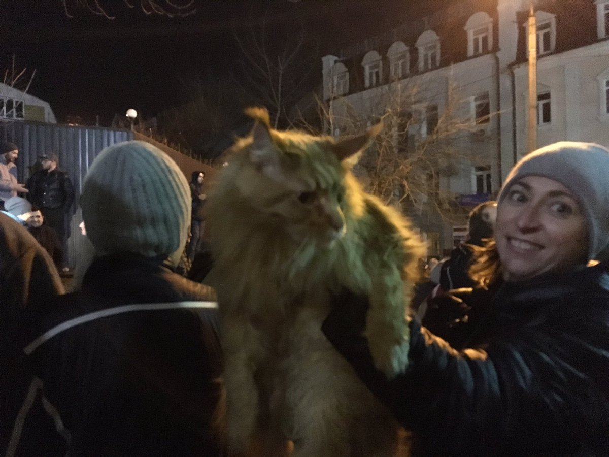 к1 dqxikeidqxitkant