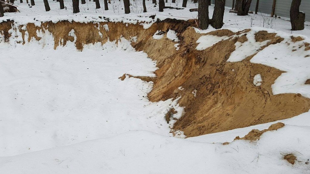 17212211_1496174370416488_1097506728057146795_o dqxikeidqxitkant